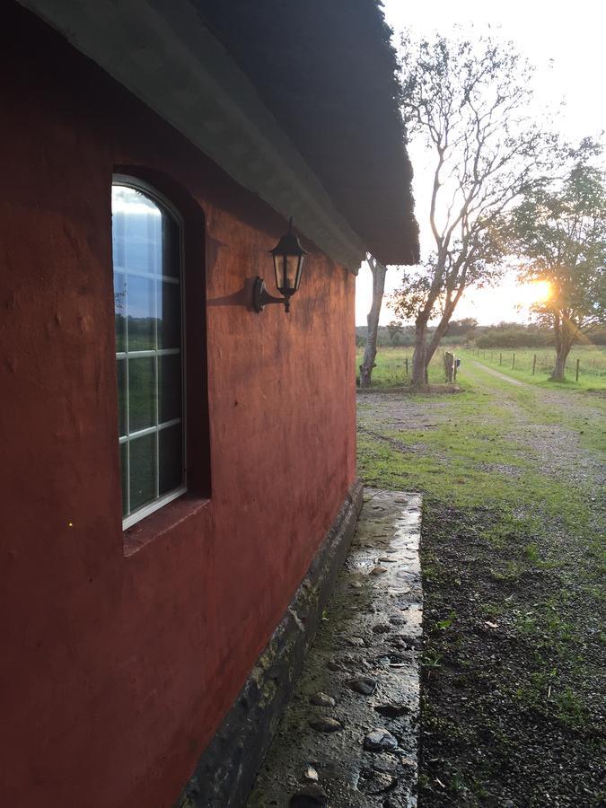 Bed and Breakfast Alsbrogaard Bramming Экстерьер фото